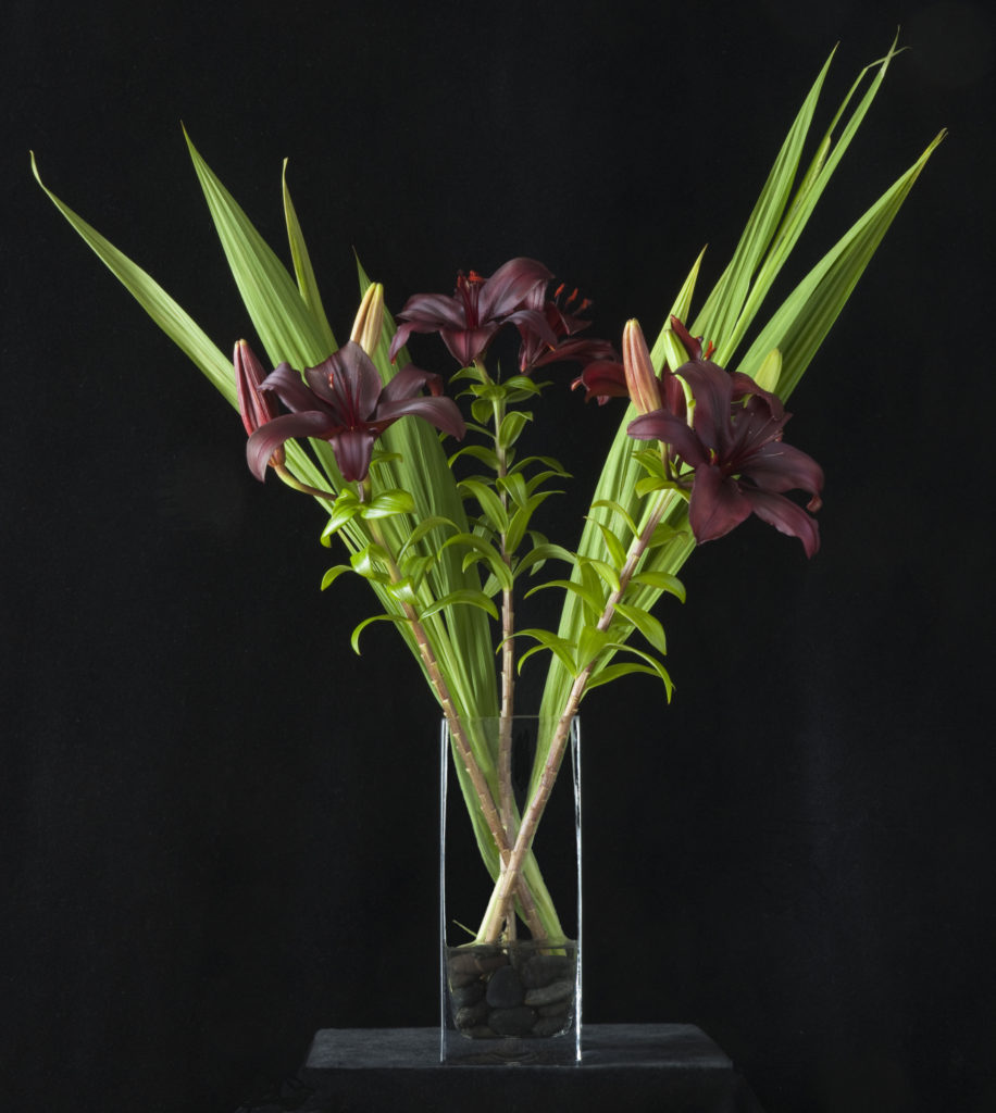 Burgundy Asiatic Lilies